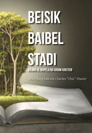 tok pisin basic bible studies cover