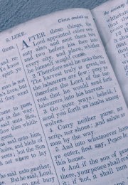 English Bible Luke (Purple)