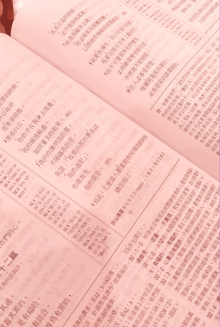 Chinese Bible Red