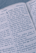 English Bible Luke (Purple)