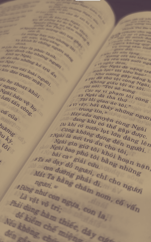 Vietnamese Bible in Sepia