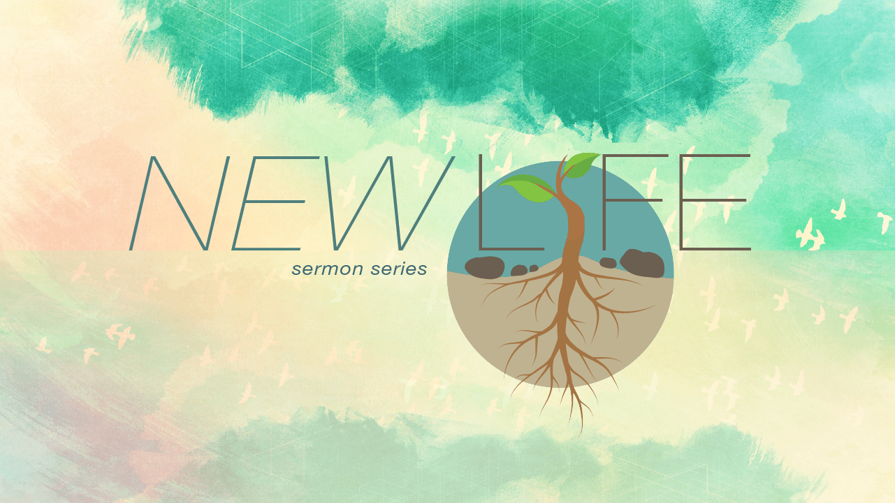 New Life: Desperation
